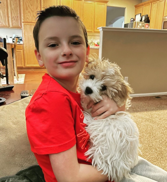 Happy Cavachon Pup in