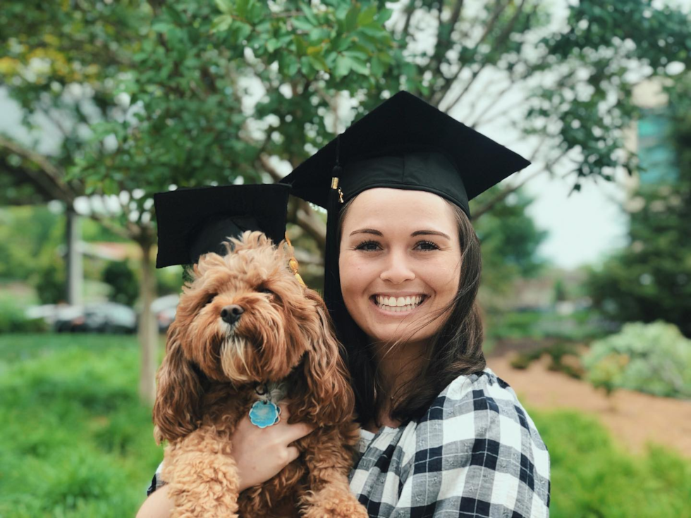 Albuquerque Cavapoo Pup