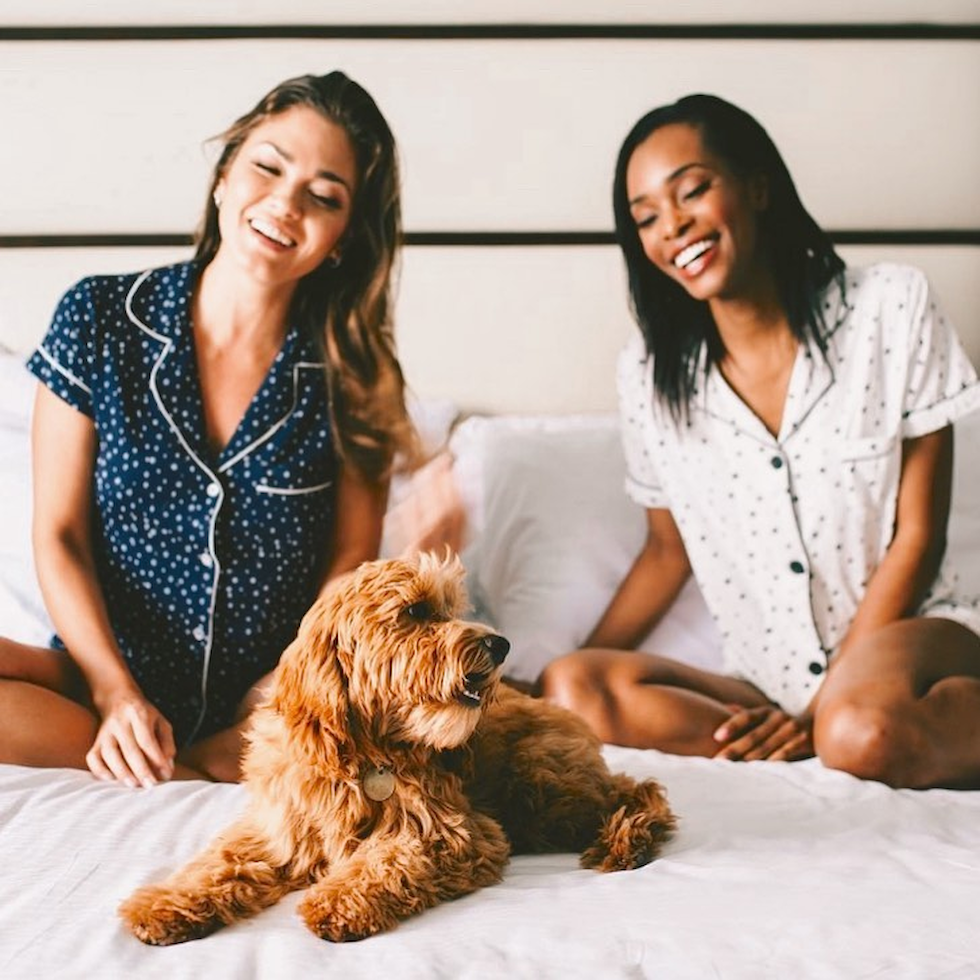 Miami Beach Mini Goldendoodle Pup