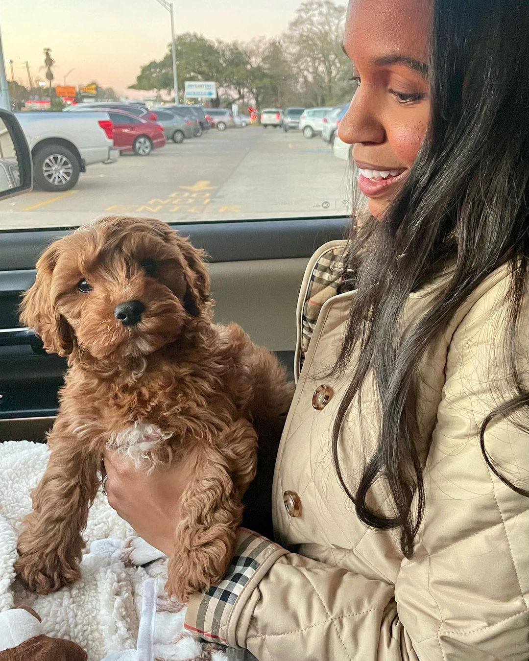 Sweet Cavapoo Baby