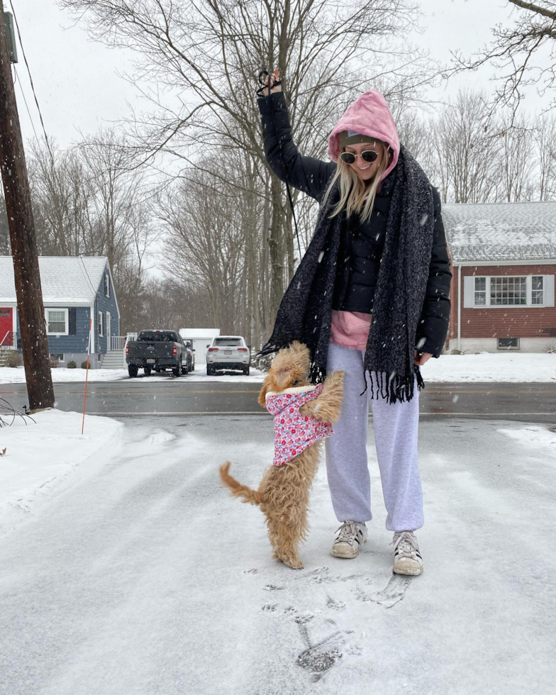 Wilmington Cavapoo Pup