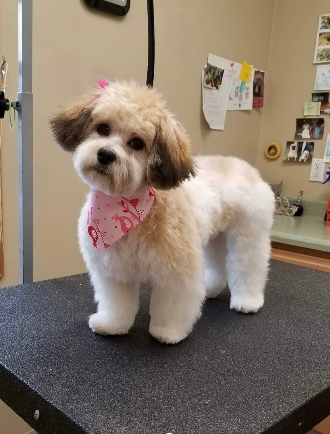 Sweet Teddy Bear Baby