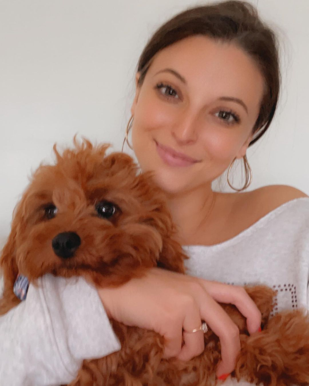 Cavapoo Puppy for Adoption