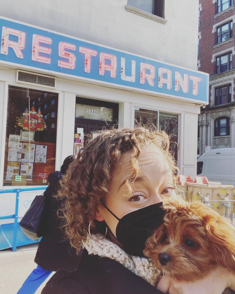 Cute Cavapoo Pup in New York NY