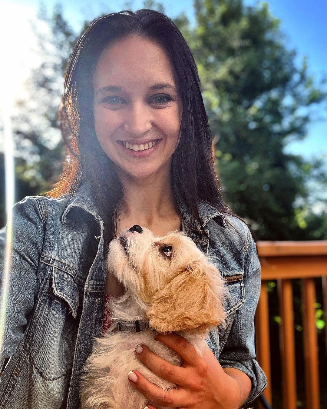 Friendly Cavachon Baby