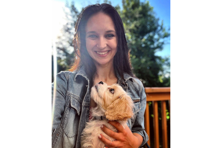 Friendly Cavachon Baby