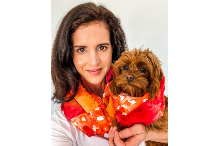 Popular Cavapoo Poodle Mix Pup