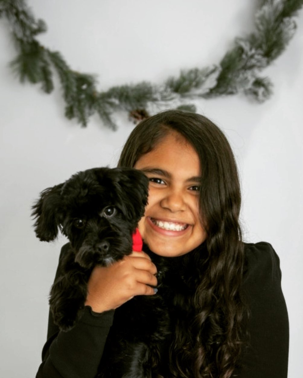 Sweet Yorkie Poo Baby