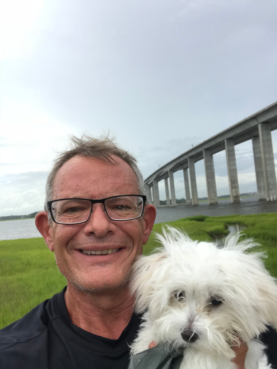 Playful Maltese Pup