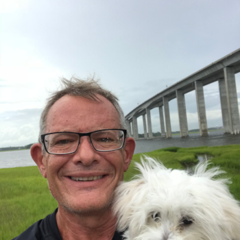 Playful Maltese Pup