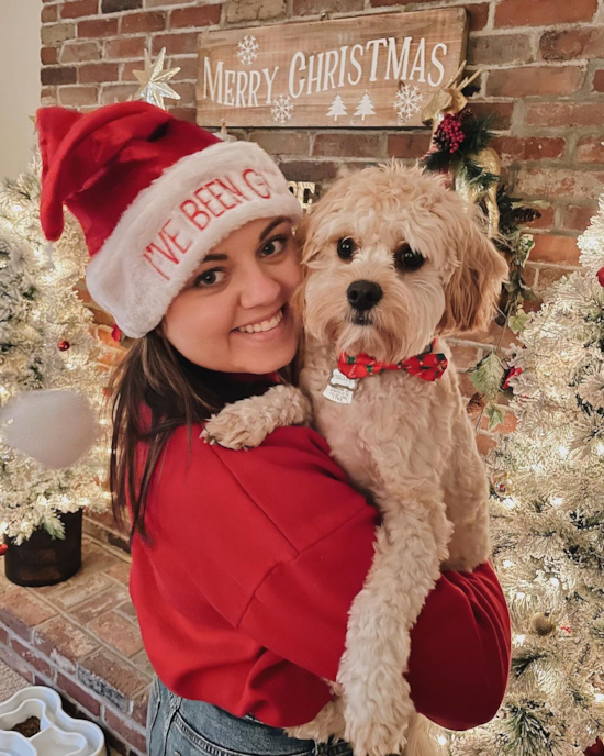 Friendly Cavachon Pup