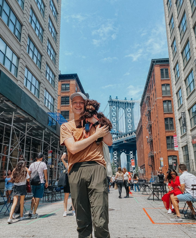 Smart Poodle Pup in Brooklyn NY