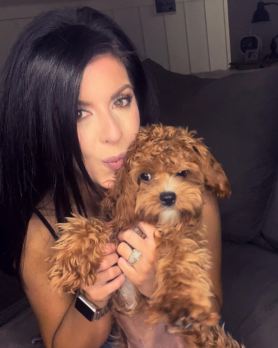 Energetic Cavoodle Poodle Mix Puppy