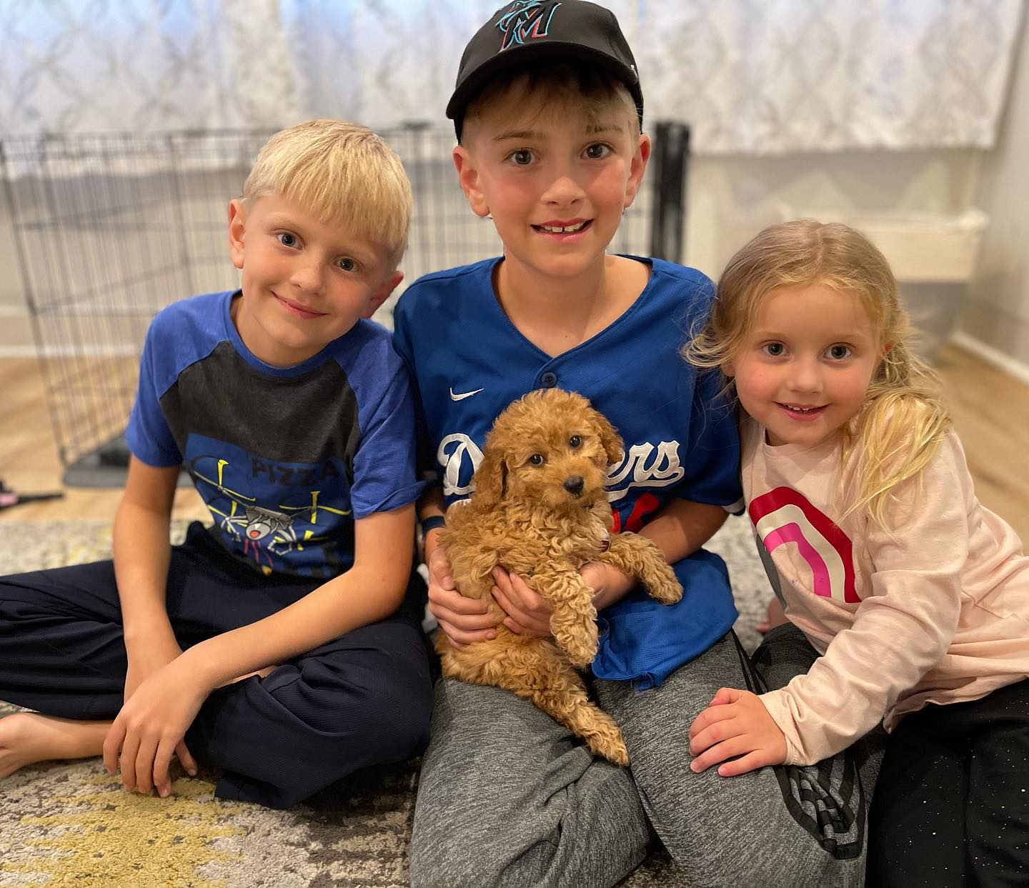 Best Mini Goldendoodle Baby