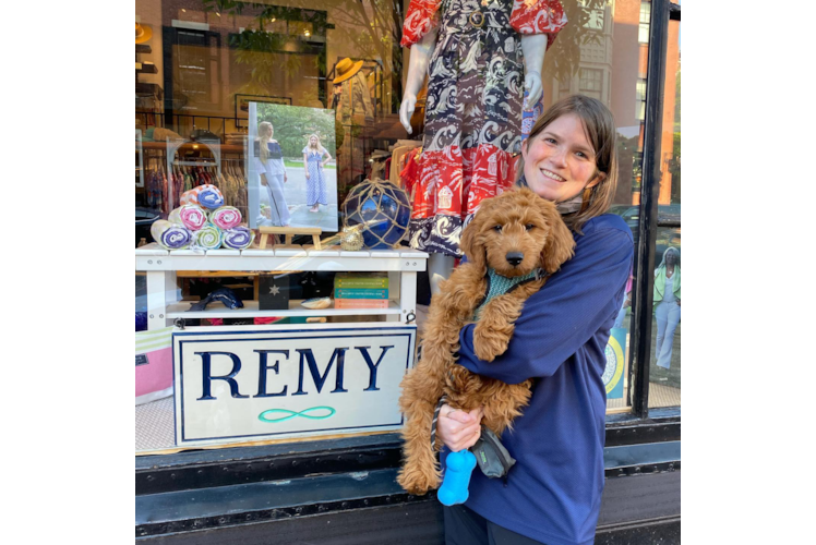 Popular Mini Goldendoodle Poodle Mix Pup