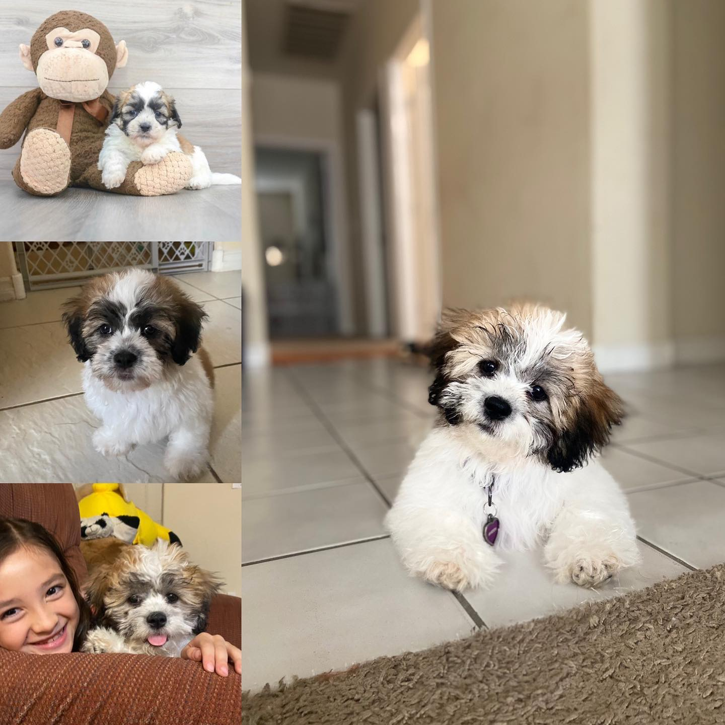 Best Teddy Bear Baby