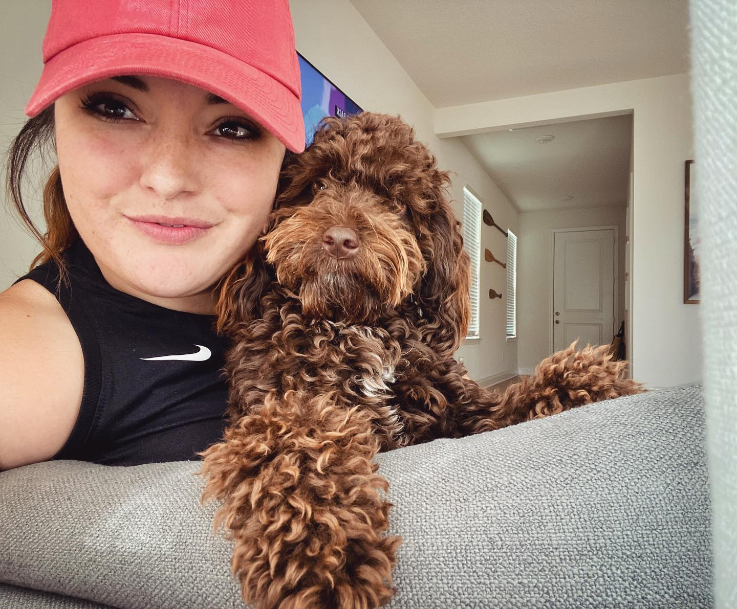 Petite Mini Labradoodle Poodle Mix Pup
