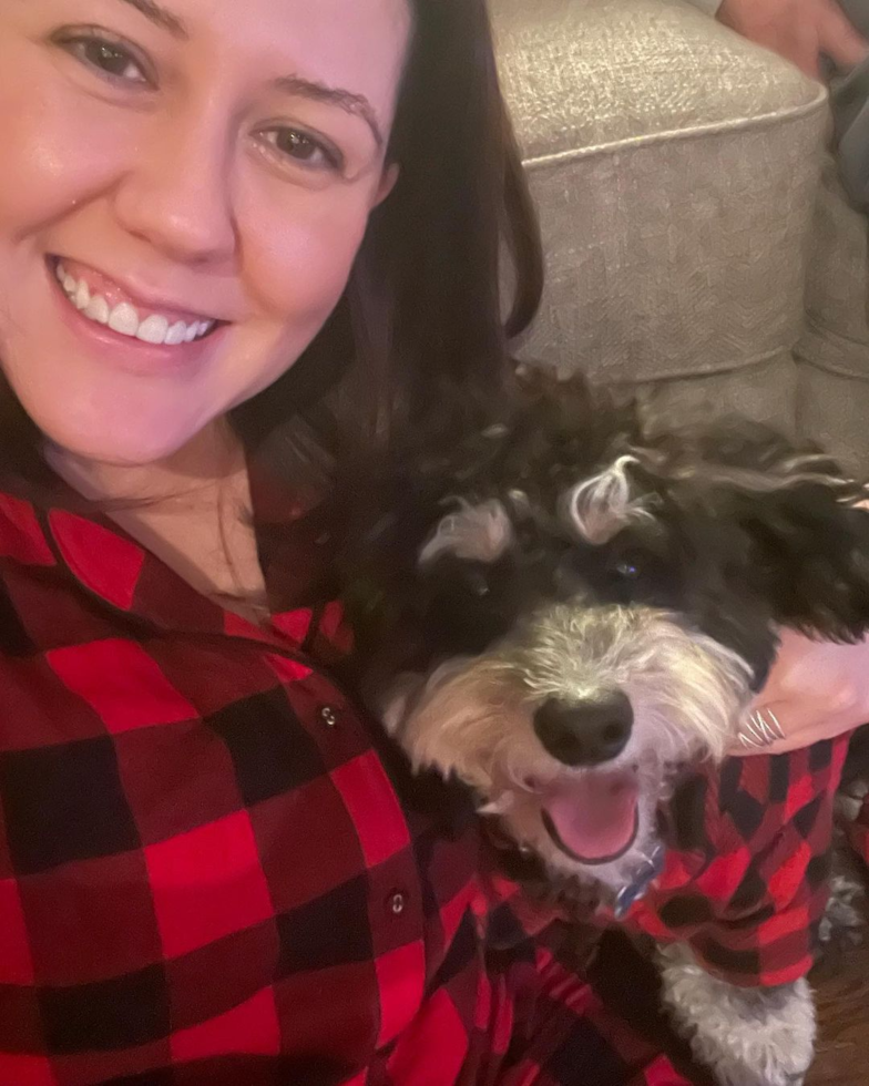 Cute Mini Bernedoodle Pup