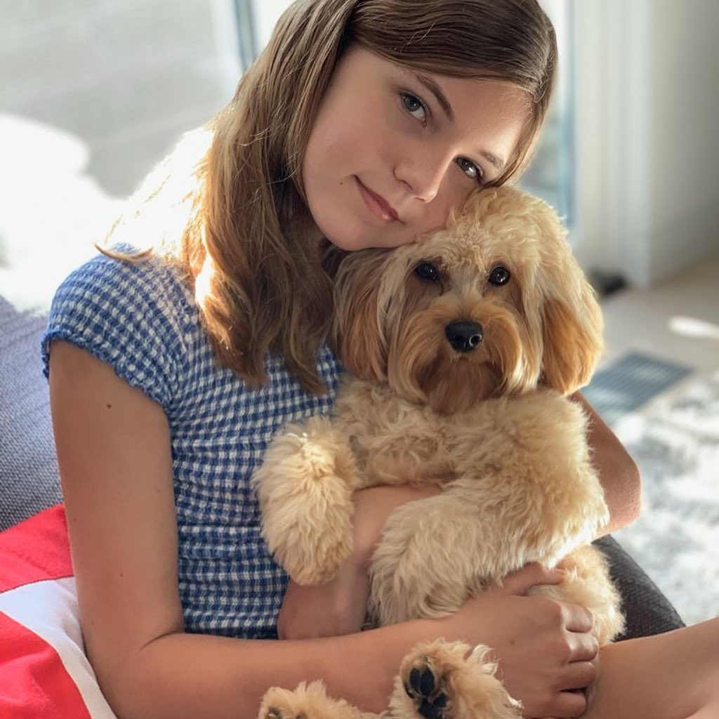 Cavapoo Puppy for Adoption