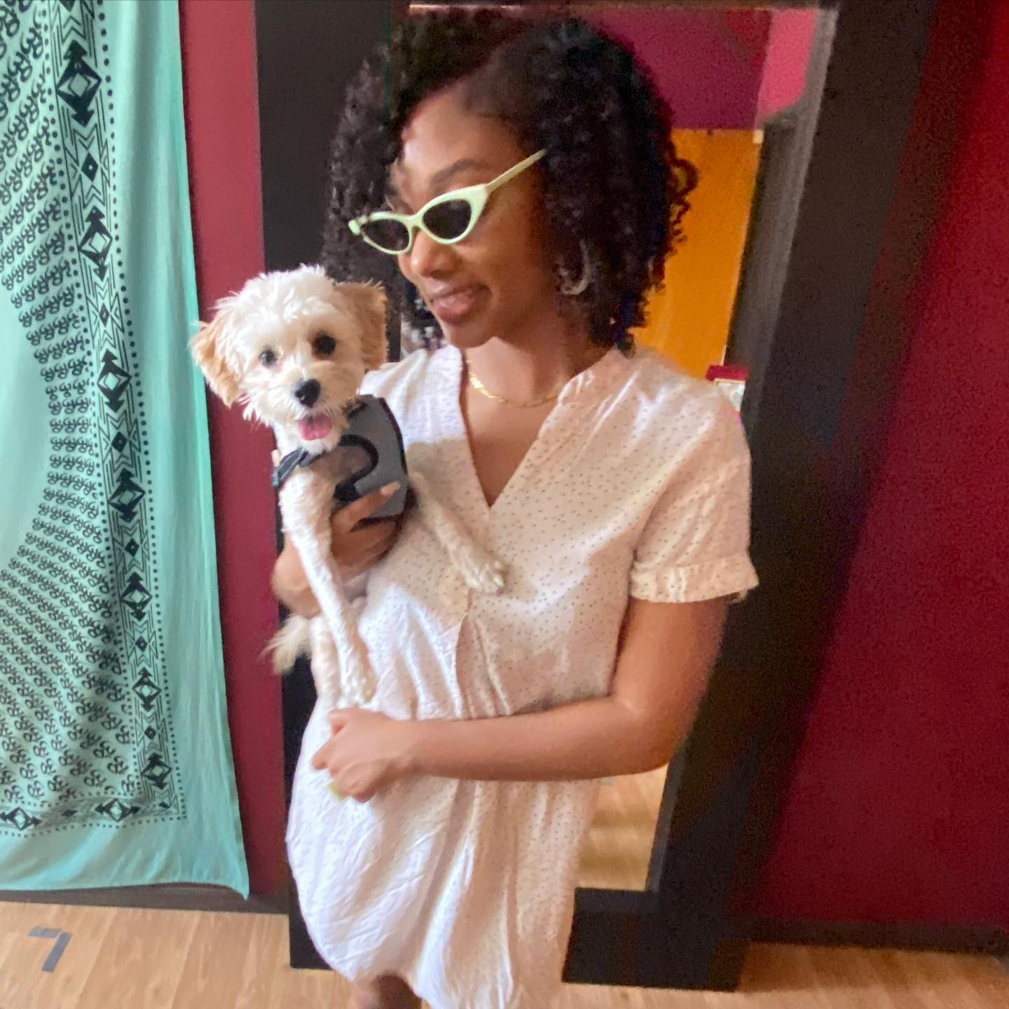 Maltipoo Puppy for Adoption