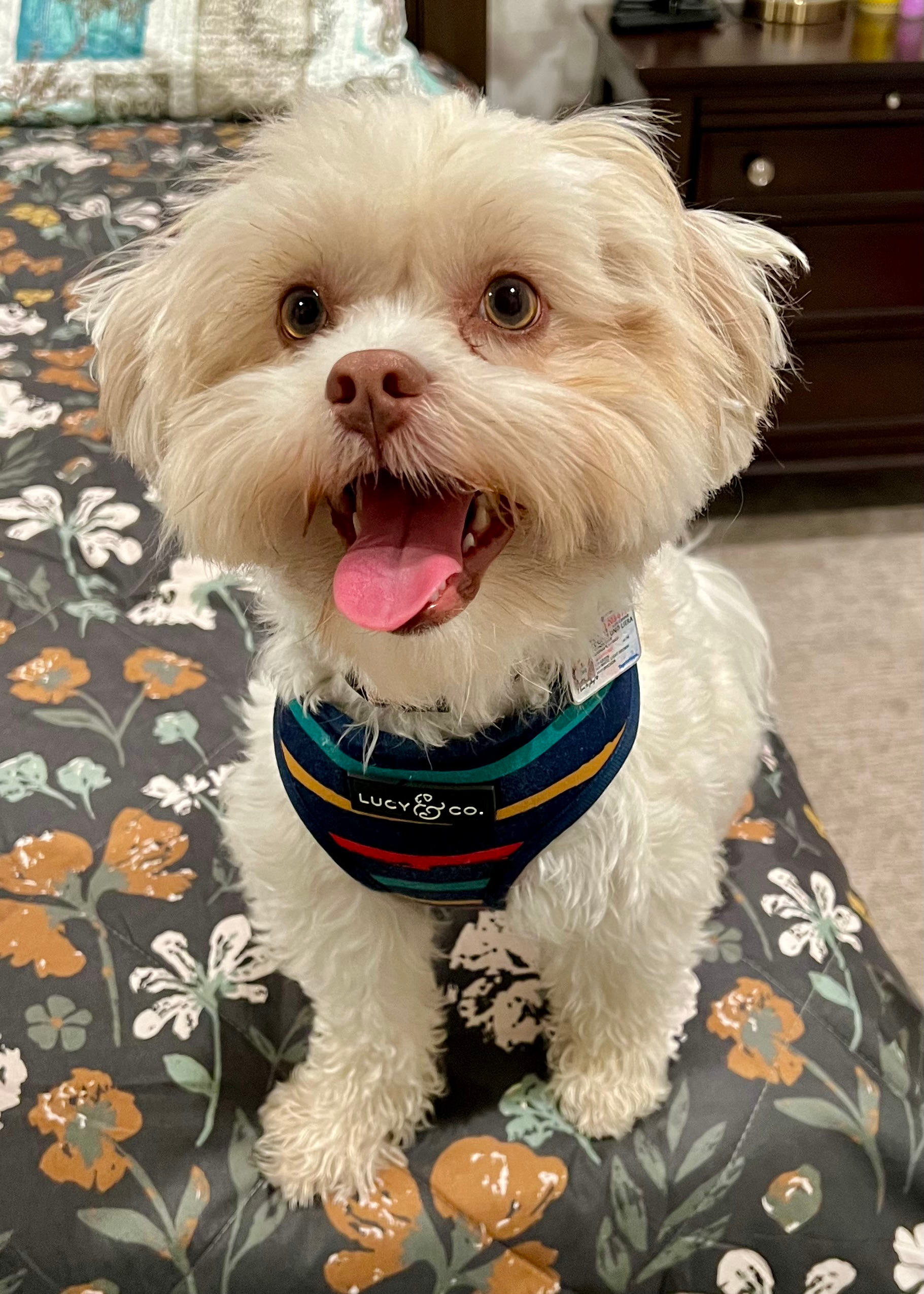 Happy Teddy Bear Baby