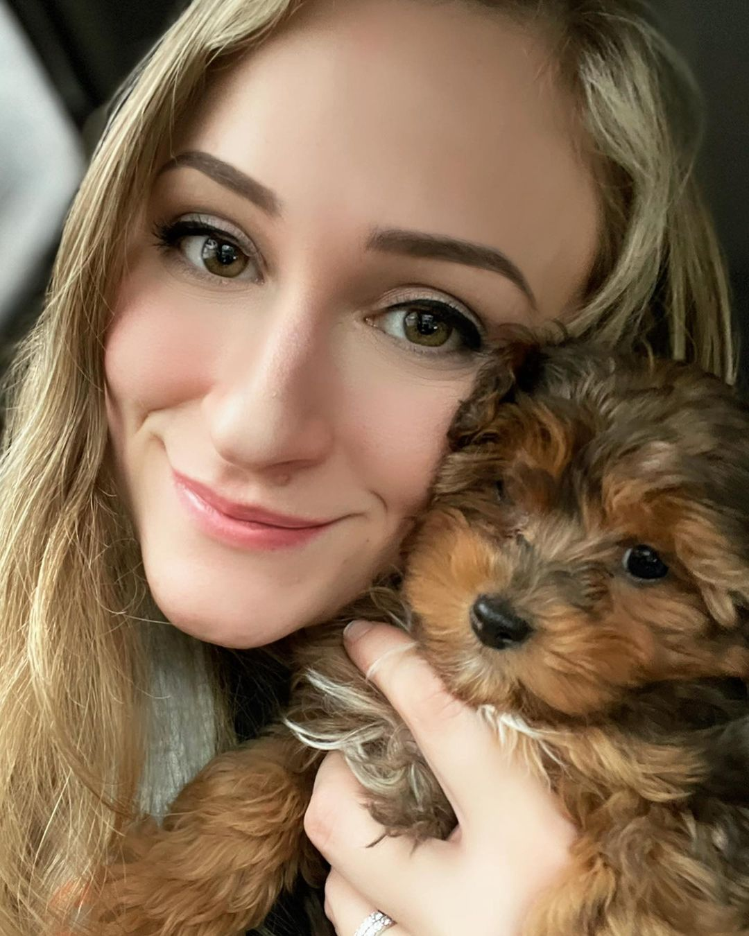 Yorkie Poo Pup Being Cute
