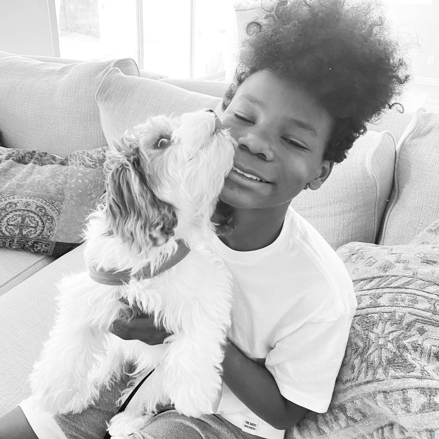 Friendly Cavapoo Baby