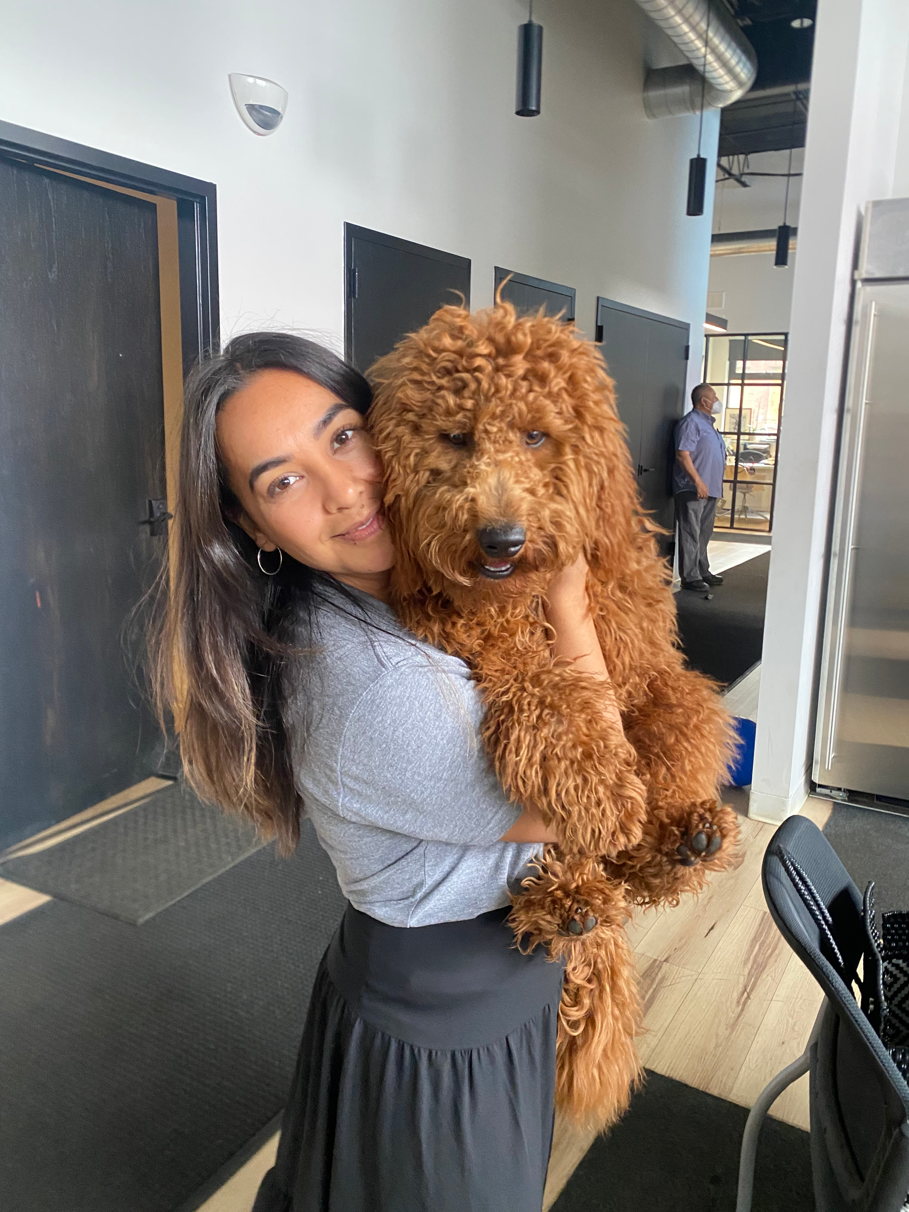 Best Mini Goldendoodle Baby
