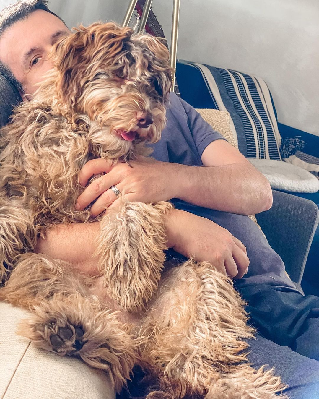Fluffy Mini Portidoodle Poodle Mix Pup