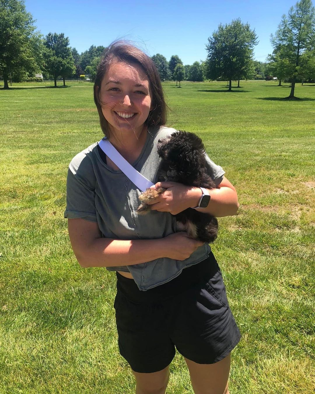 Little Aussiepoo Poodle Mix Puppy
