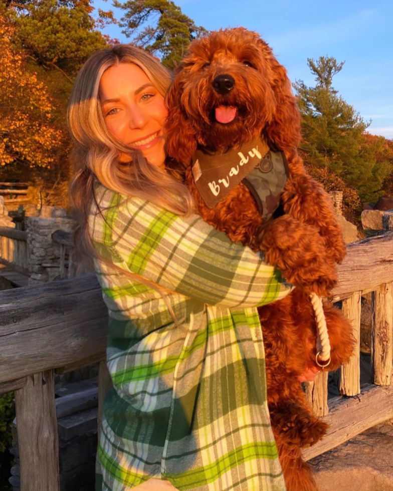 Sweet Mini Goldendoodle Pup in Old Fields WV