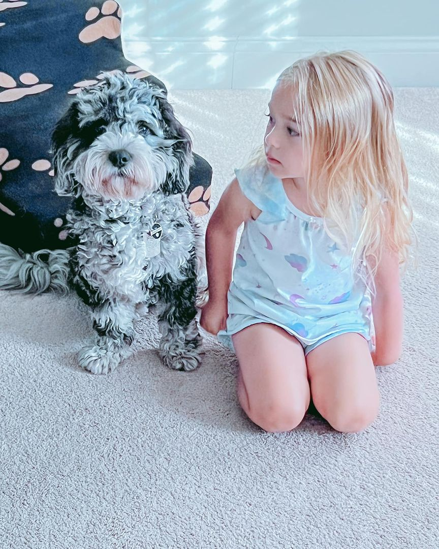 Best Cavapoo Baby