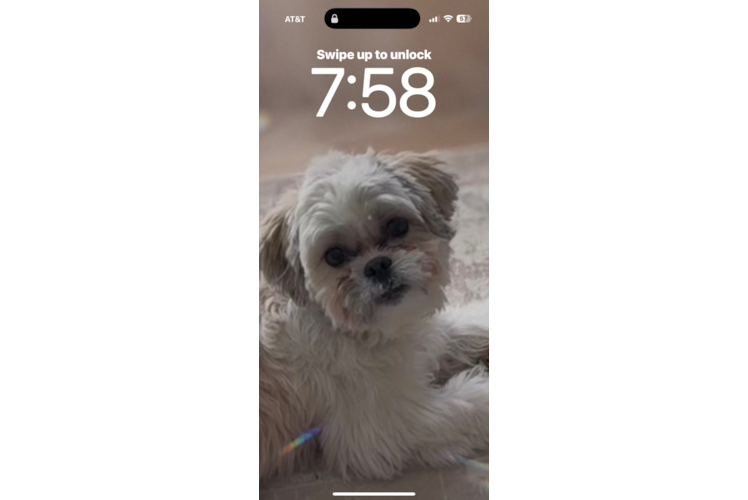 Best Teddy Bear Baby