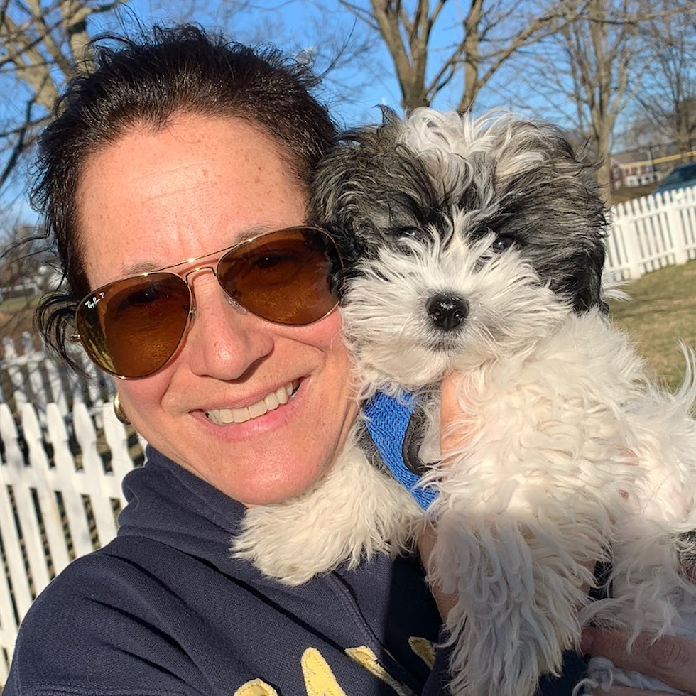 Happy Havanese Purebred Pup