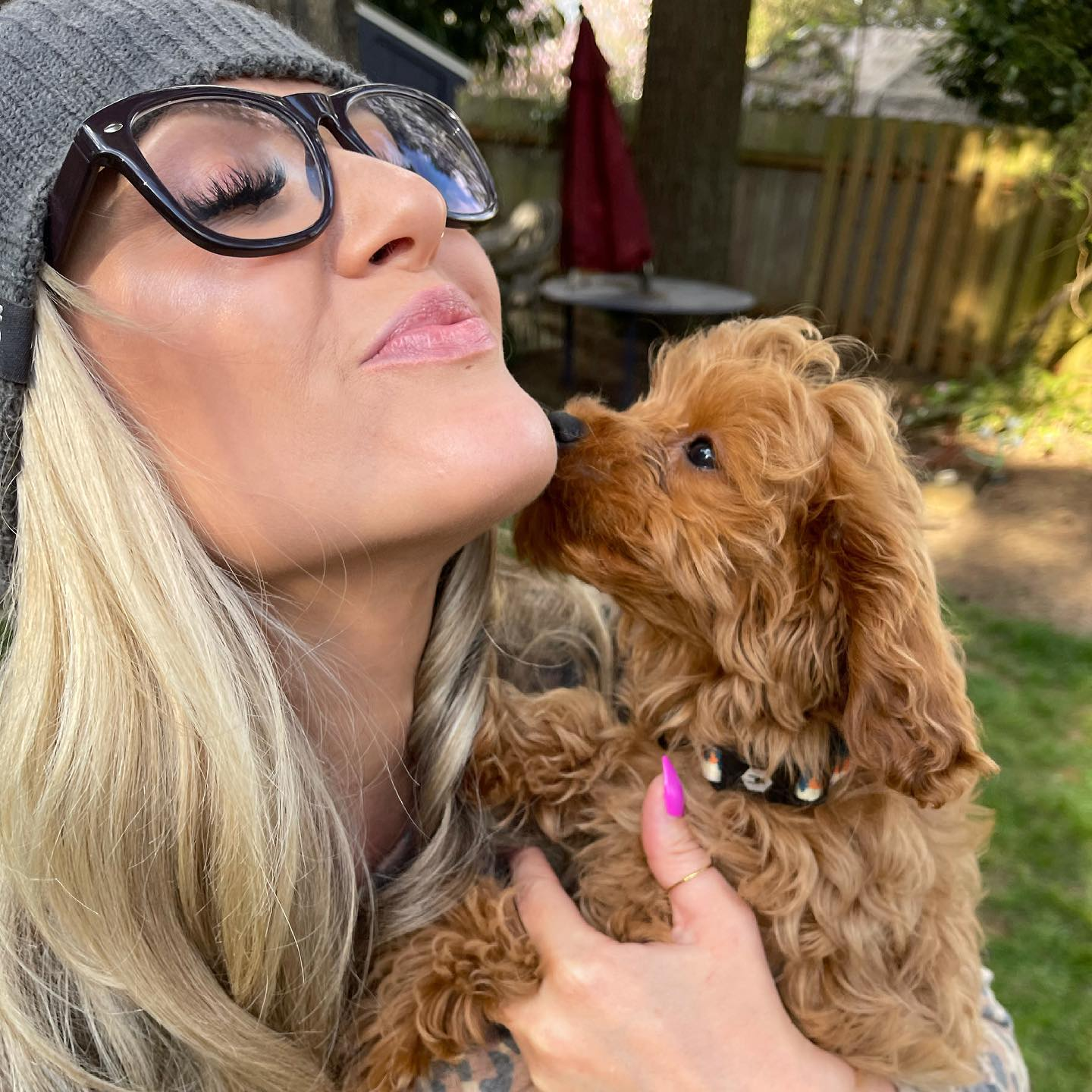 Cavapoo Pup Being Cute