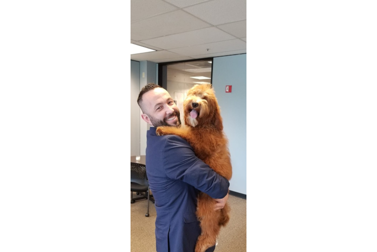 Best Mini Goldendoodle Baby