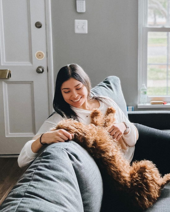 Cute Mini Goldendoodle Pup in Arlington VA