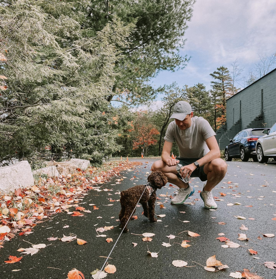 Sweet Poodle Pup in Brooklyn NY