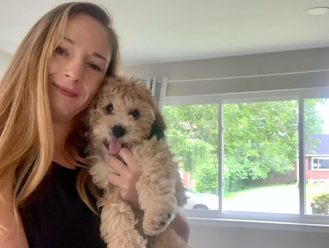 Happy Cavapoo Baby