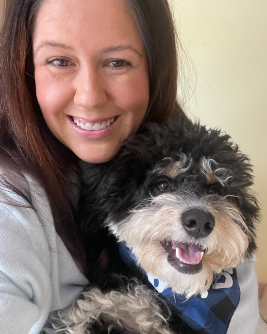 Playful Bernadoodle Poodle Mix Pup