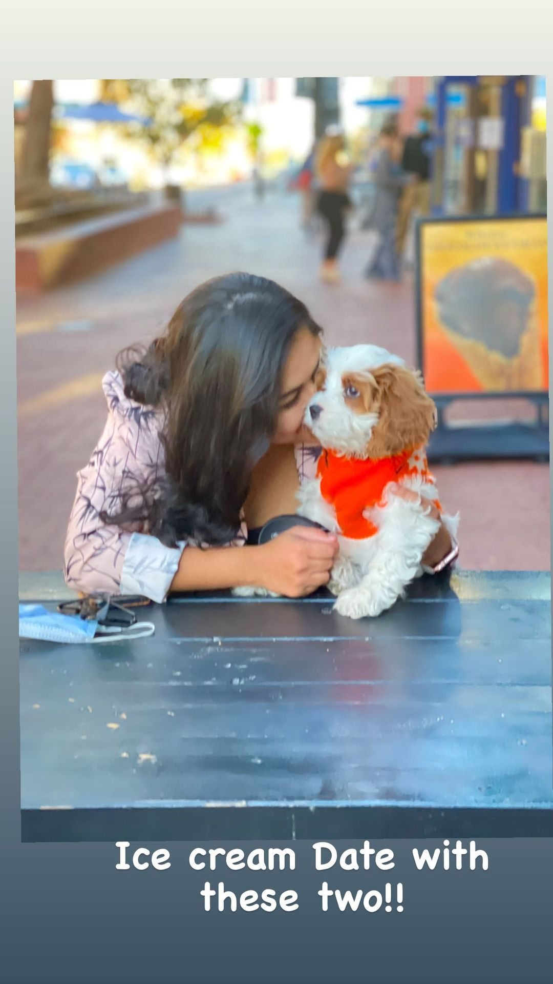 Cavapoo Pup Being Cute
