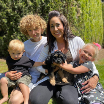 Sweet Cavapoo Pup in