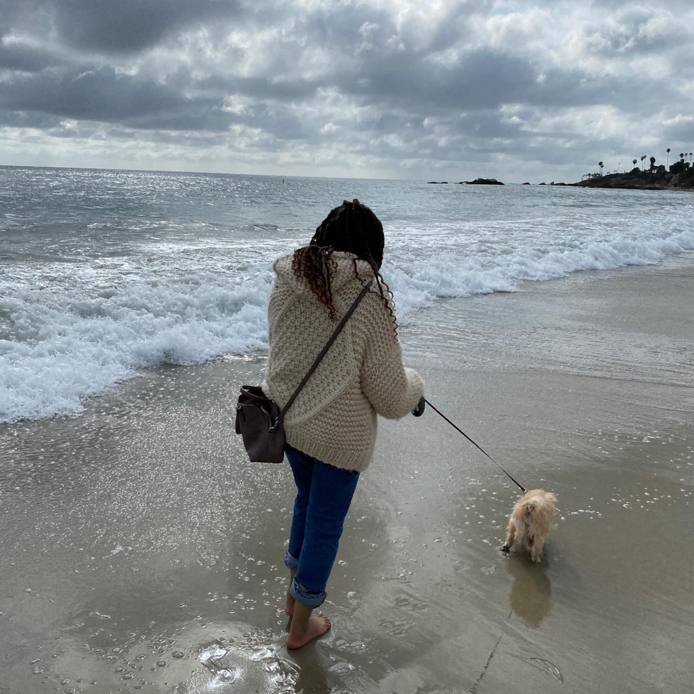 Friendly Maltipoo Pup in Los Angeles CA