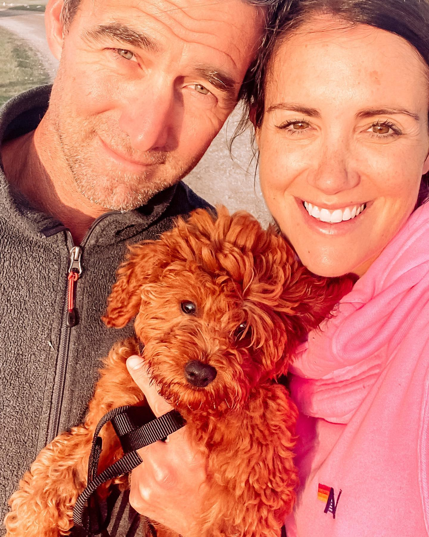 Cavapoo Puppy for Adoption