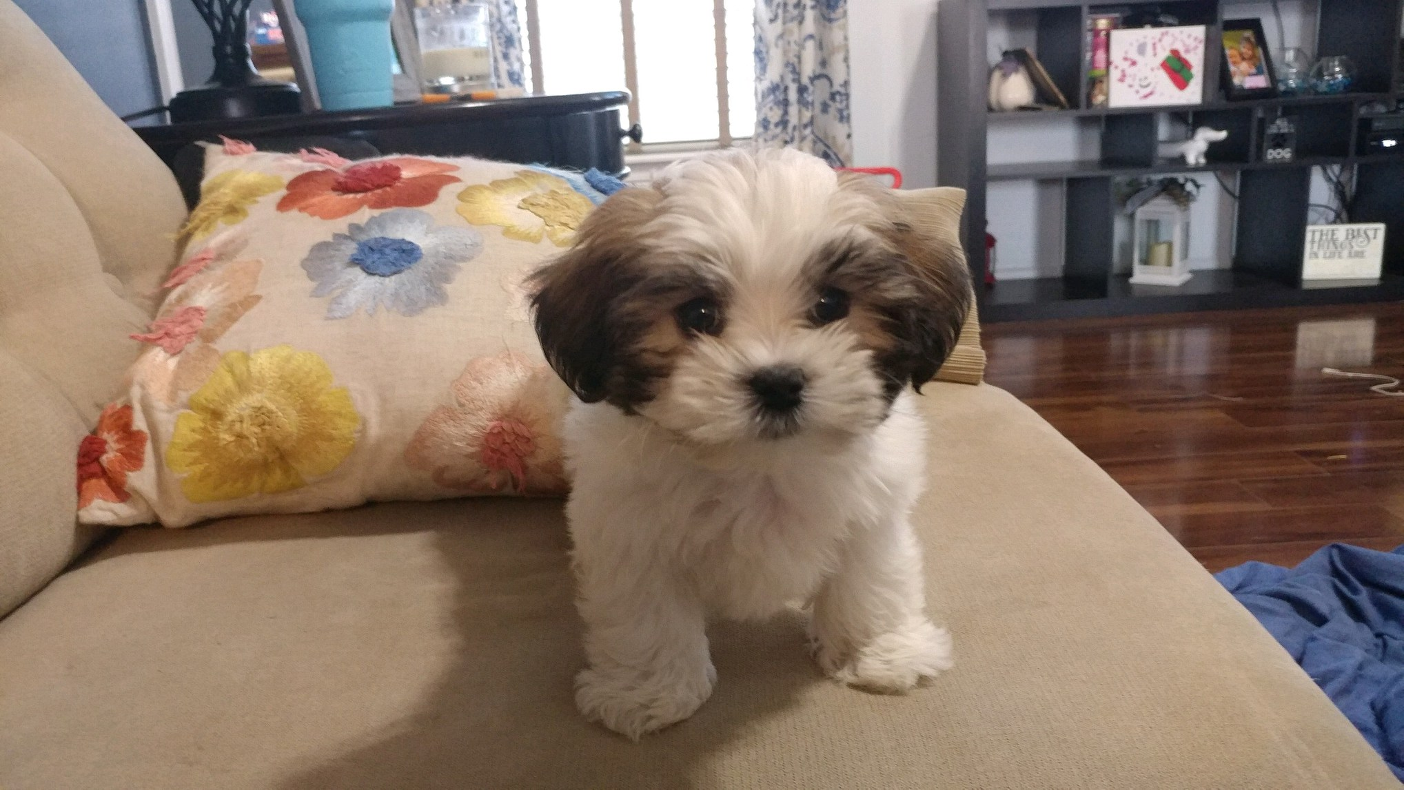 Best Teddy Bear Baby