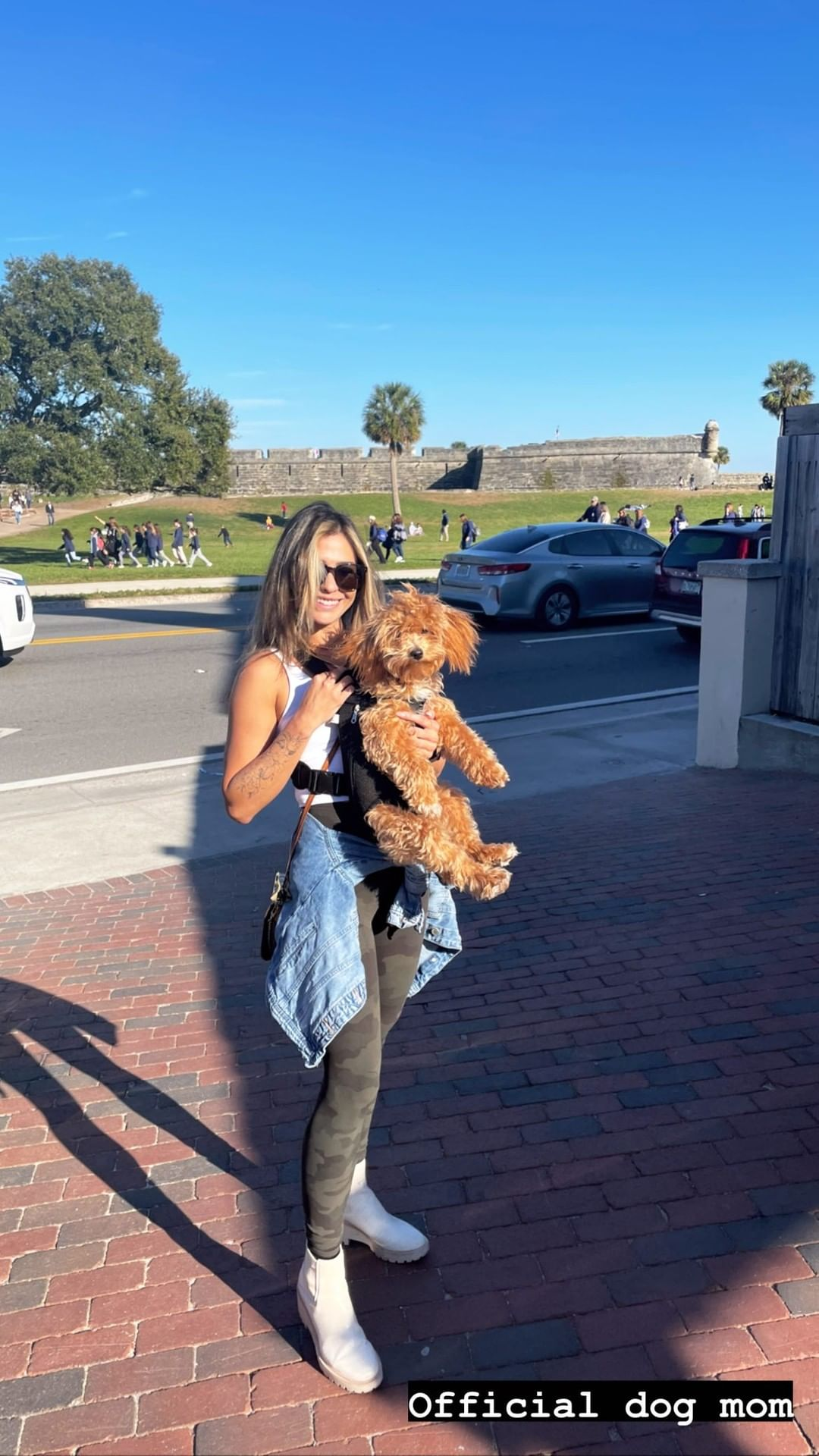 Happy Maltipoo Baby