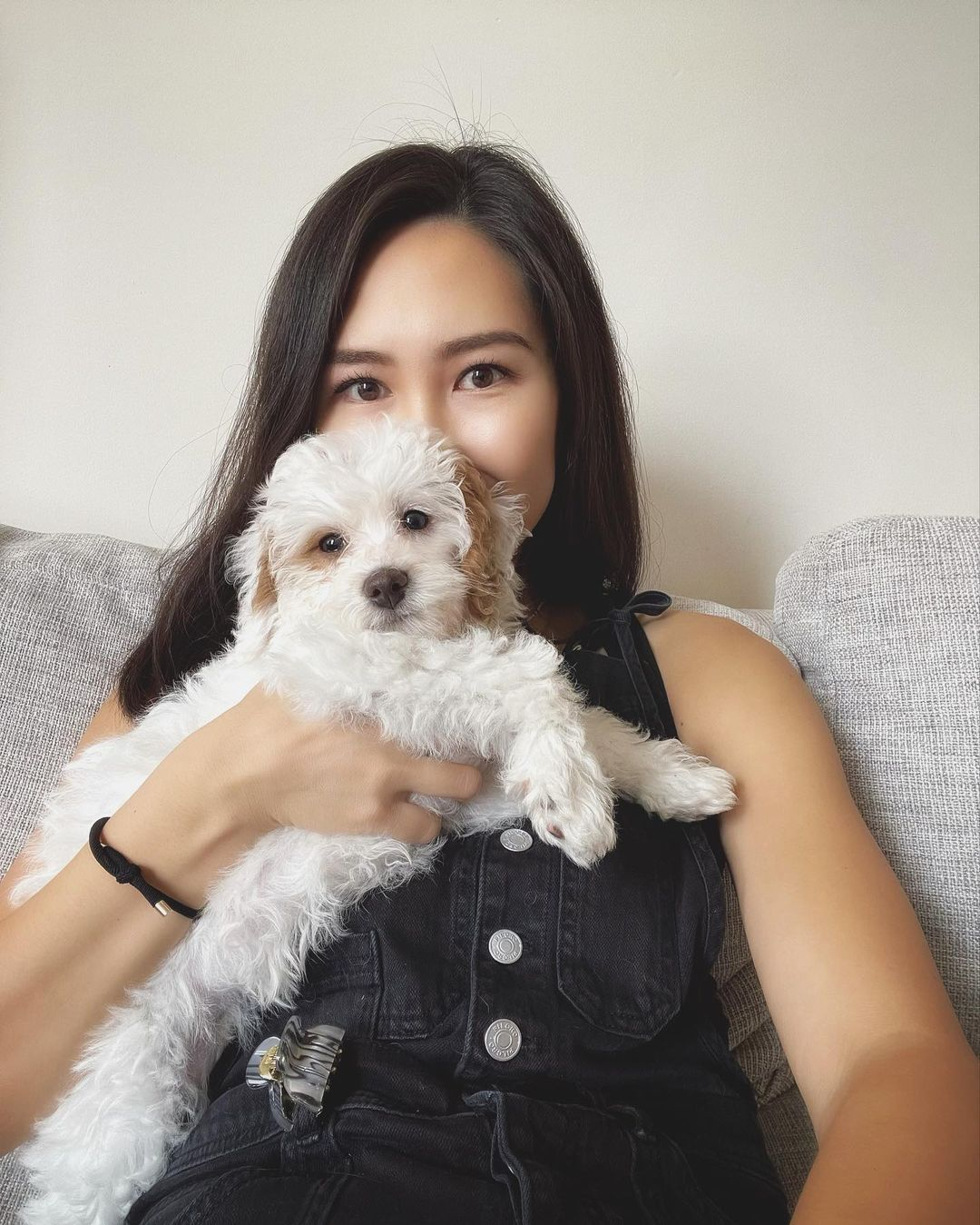 Sweet Mini Bernedoodle Baby