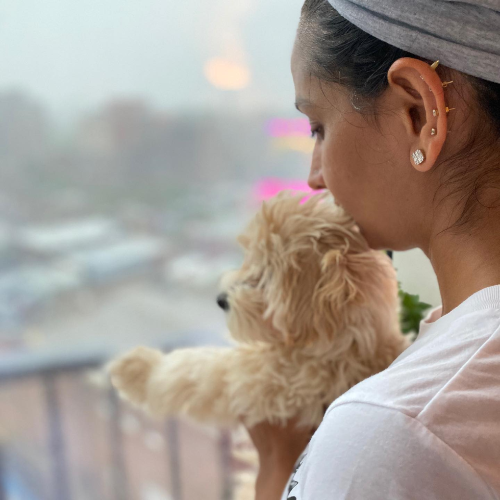 Sweet Maltipoo Pup in Brooklyn NY