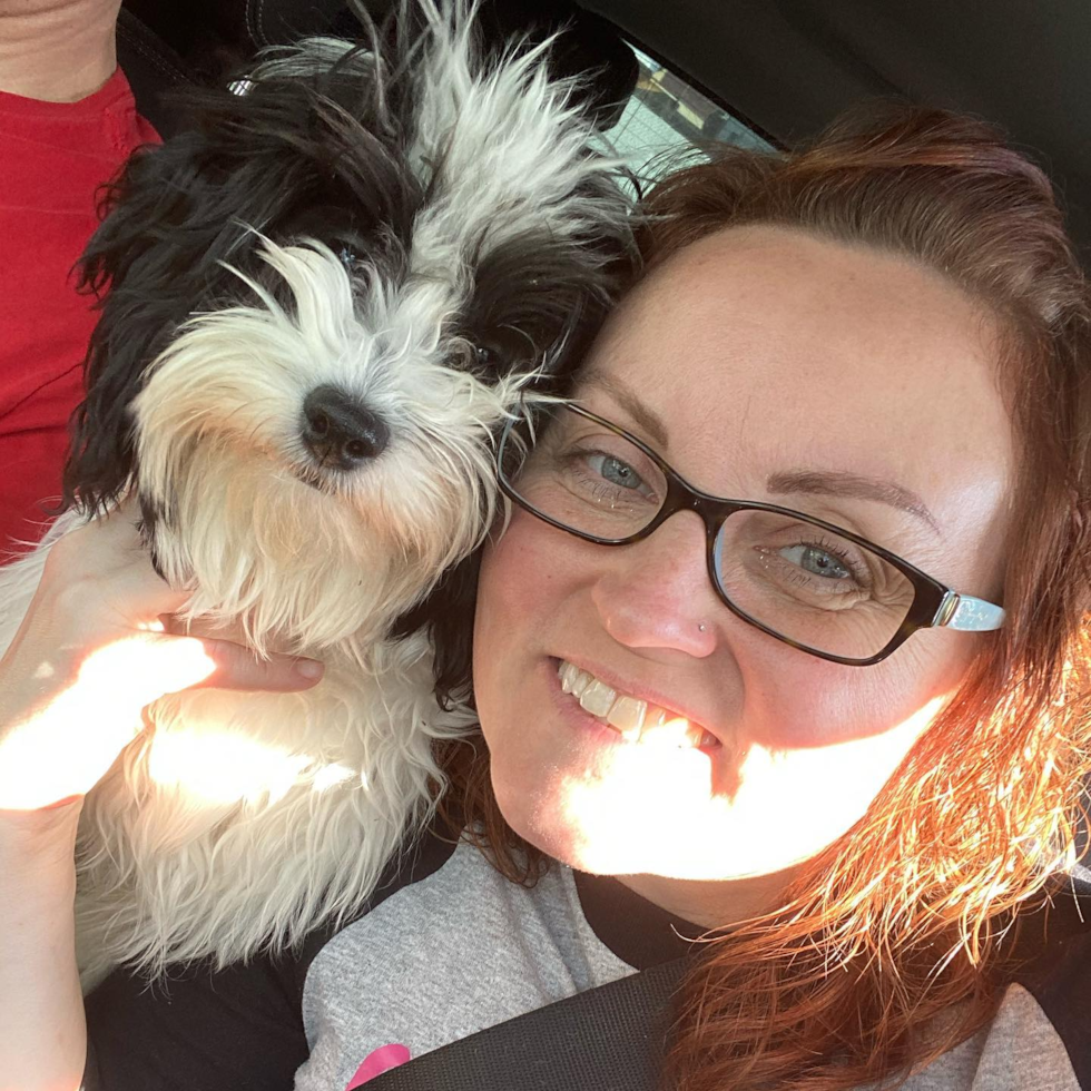 Adorable Havanese Pup in Cincinnati OH