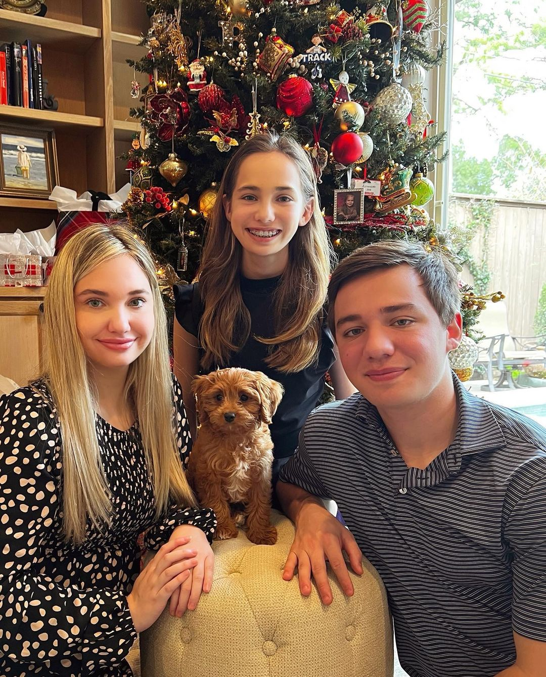 Best Cavapoo Baby